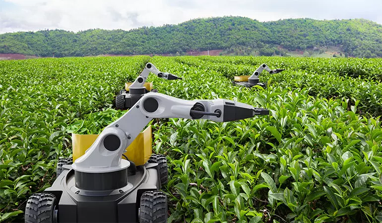 Harvesting the future of agriculture with AI