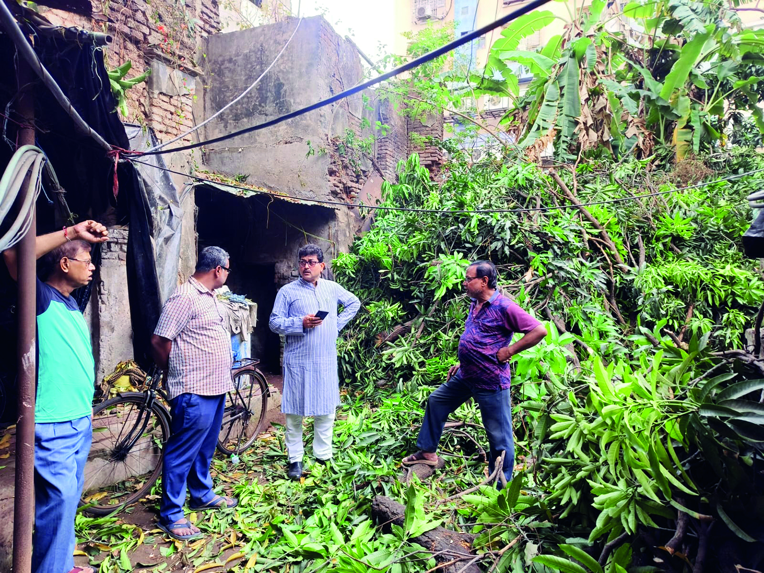 Residents thwart attempt of felling a full-grown tree in Bhowanipore Residents thwart attempt of felling a full-grown tree in Bhowanipore