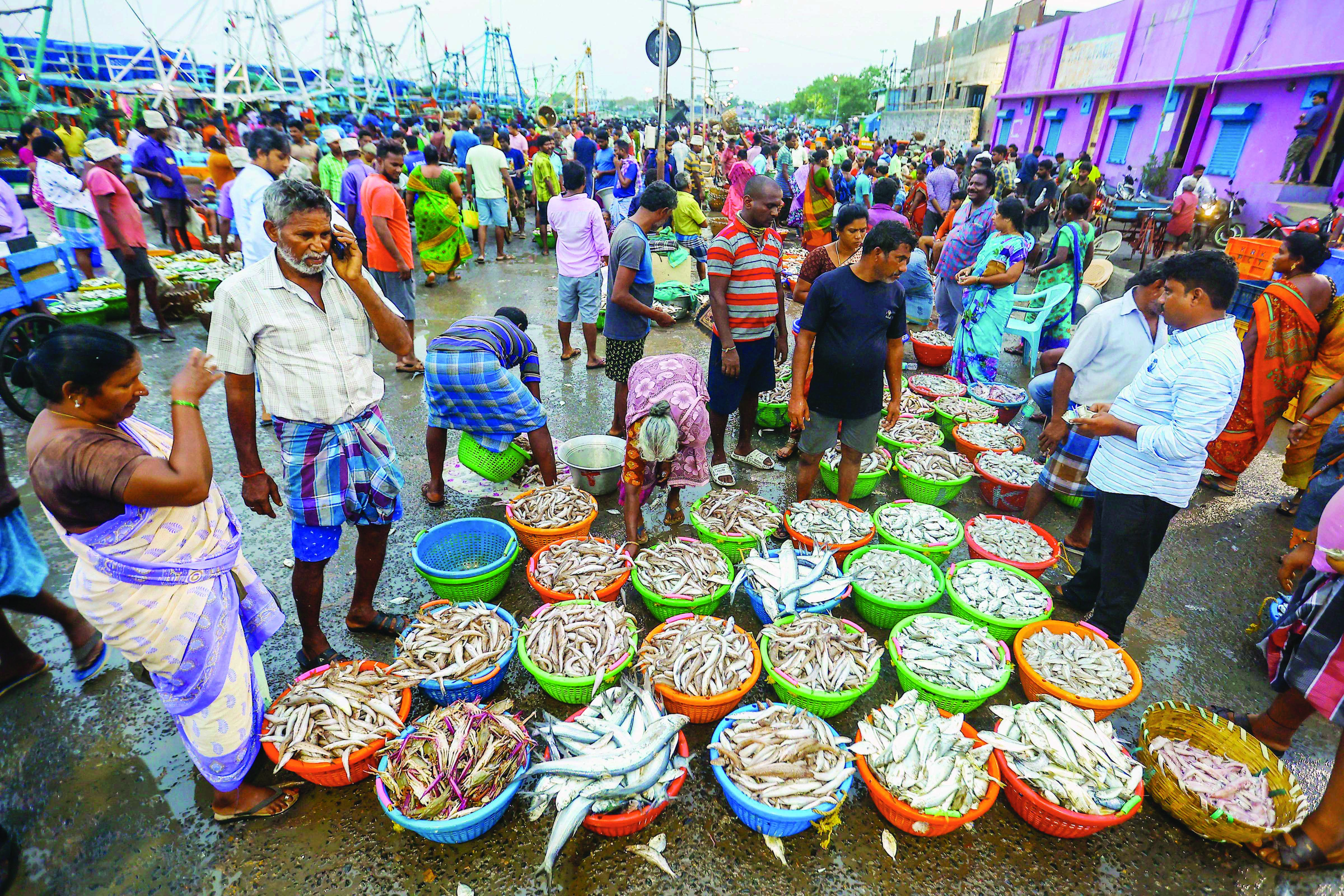 Seafood units: India has robust safety   & regulatory framework: Comm Min