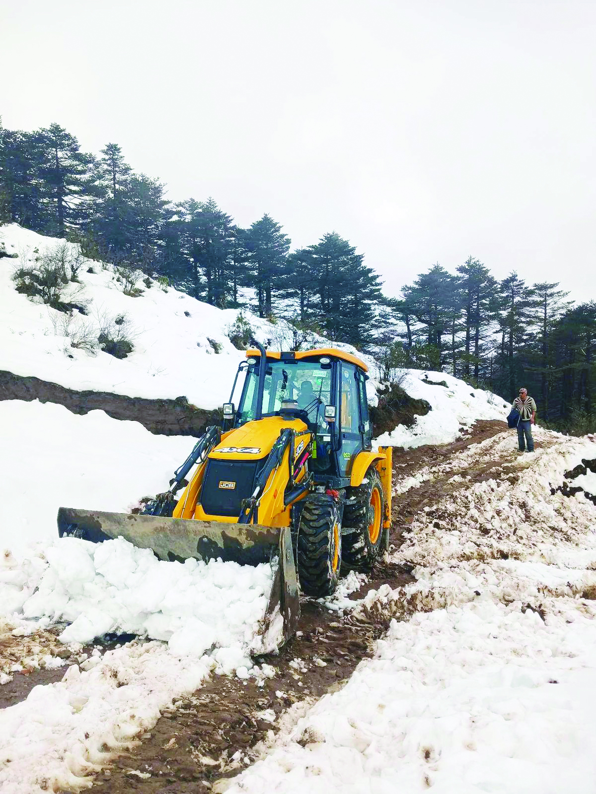 ‘Untimely snowfall in Sandakphu causes major dent in tourism’