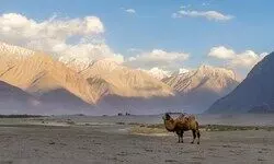 A fight for a cause A fight for a cause