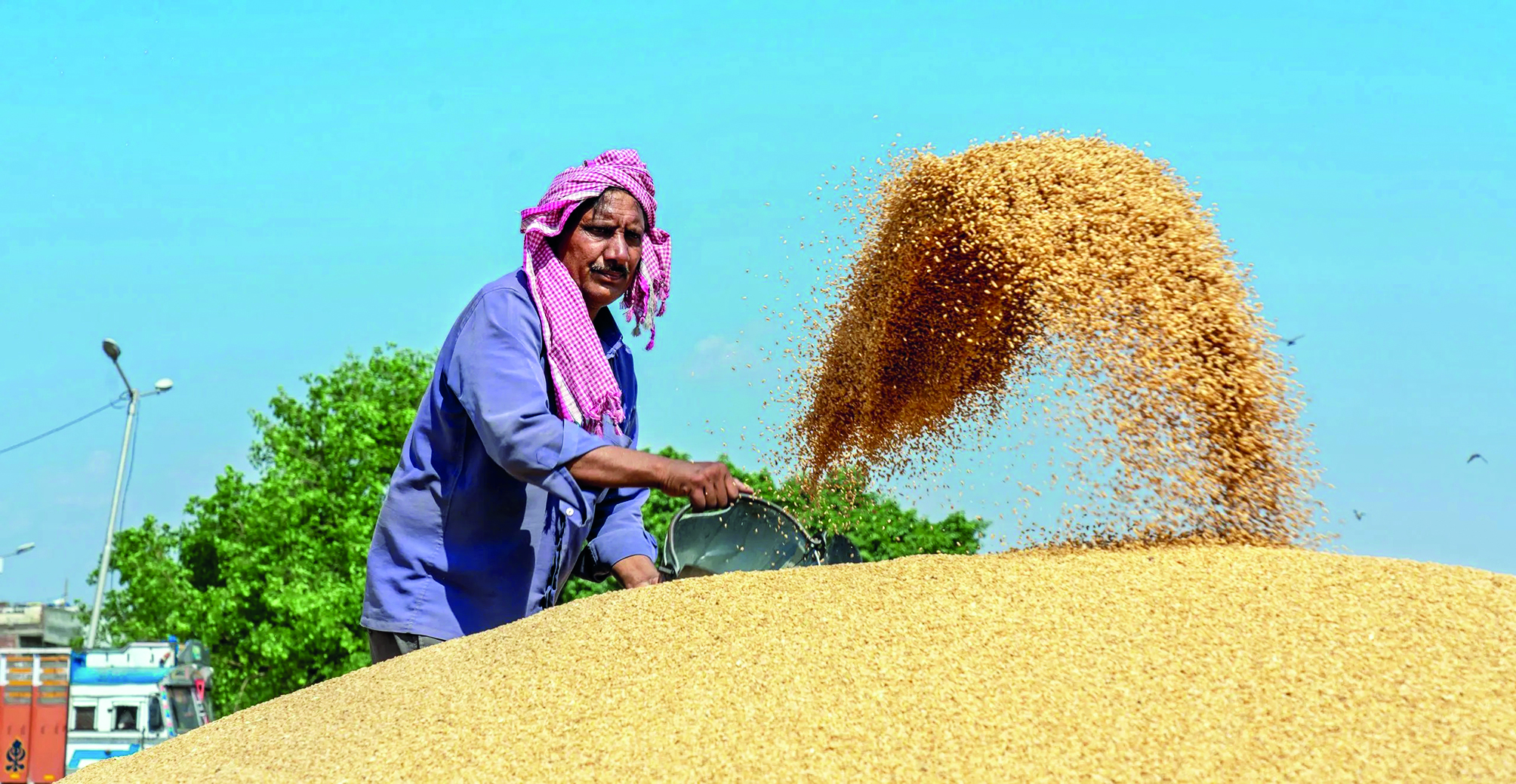 Wholesalers, retailers, processors told to declare wheat stock as stock limit expires on March 31
