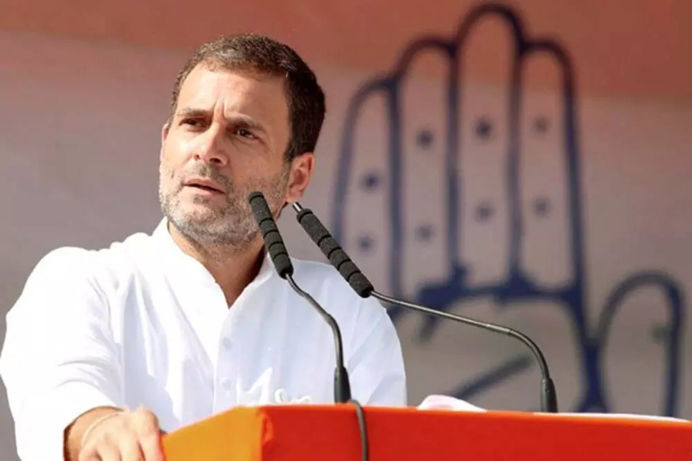 BJP indulging in tax terrorism; exemplary action will be taken after change of govt: Rahul