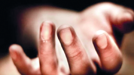 Woman murders mother-in-law, later surrenders