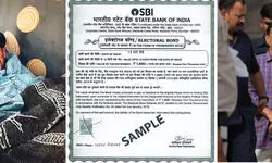 Talking Shop: Too true to tell