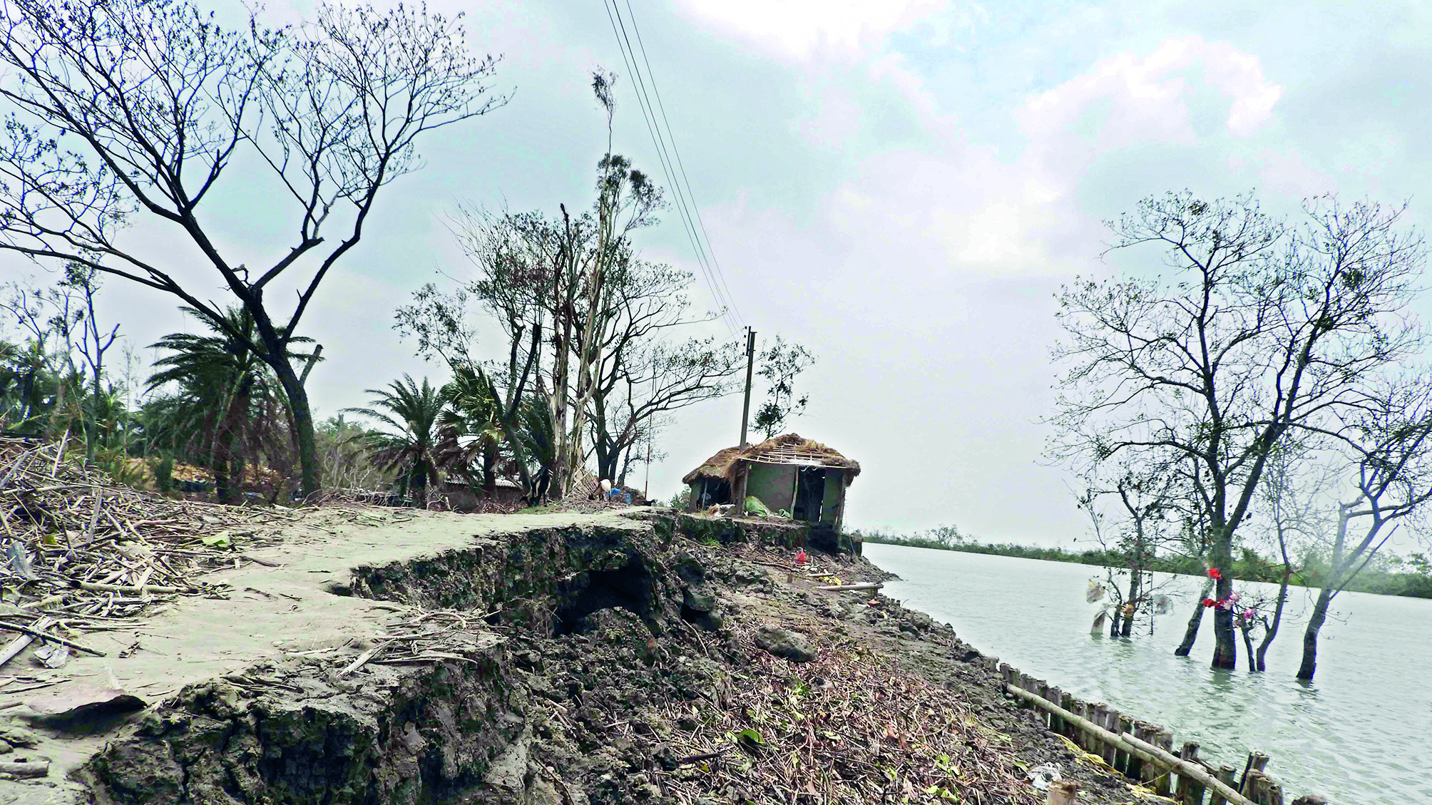 Docu on Sunderbans screened at city film fest