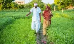 Indicator of distress? Indicator of distress?