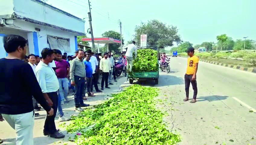 CM’s intervention saves the day for small tea growers CM’s intervention saves the day for small tea growers