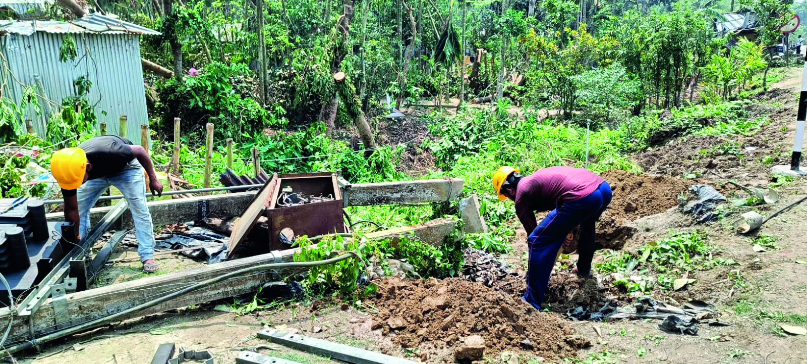 ‘Losses exceed Rs 10 crore in storm-ravaged Alipurduar’