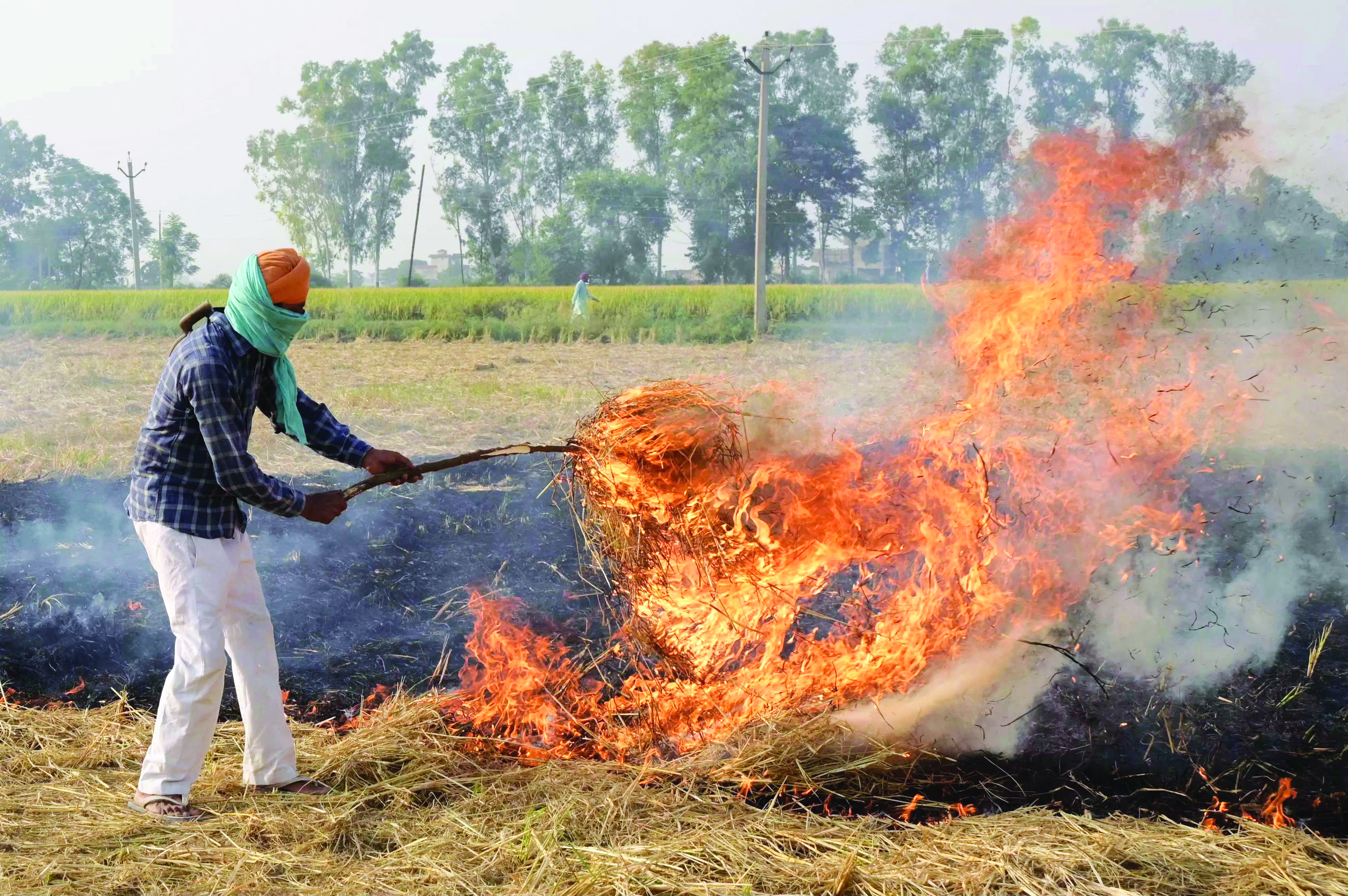 NGT asks Pb govt to disclose plan to achieve its target NGT asks Pb govt to disclose plan to achieve its target