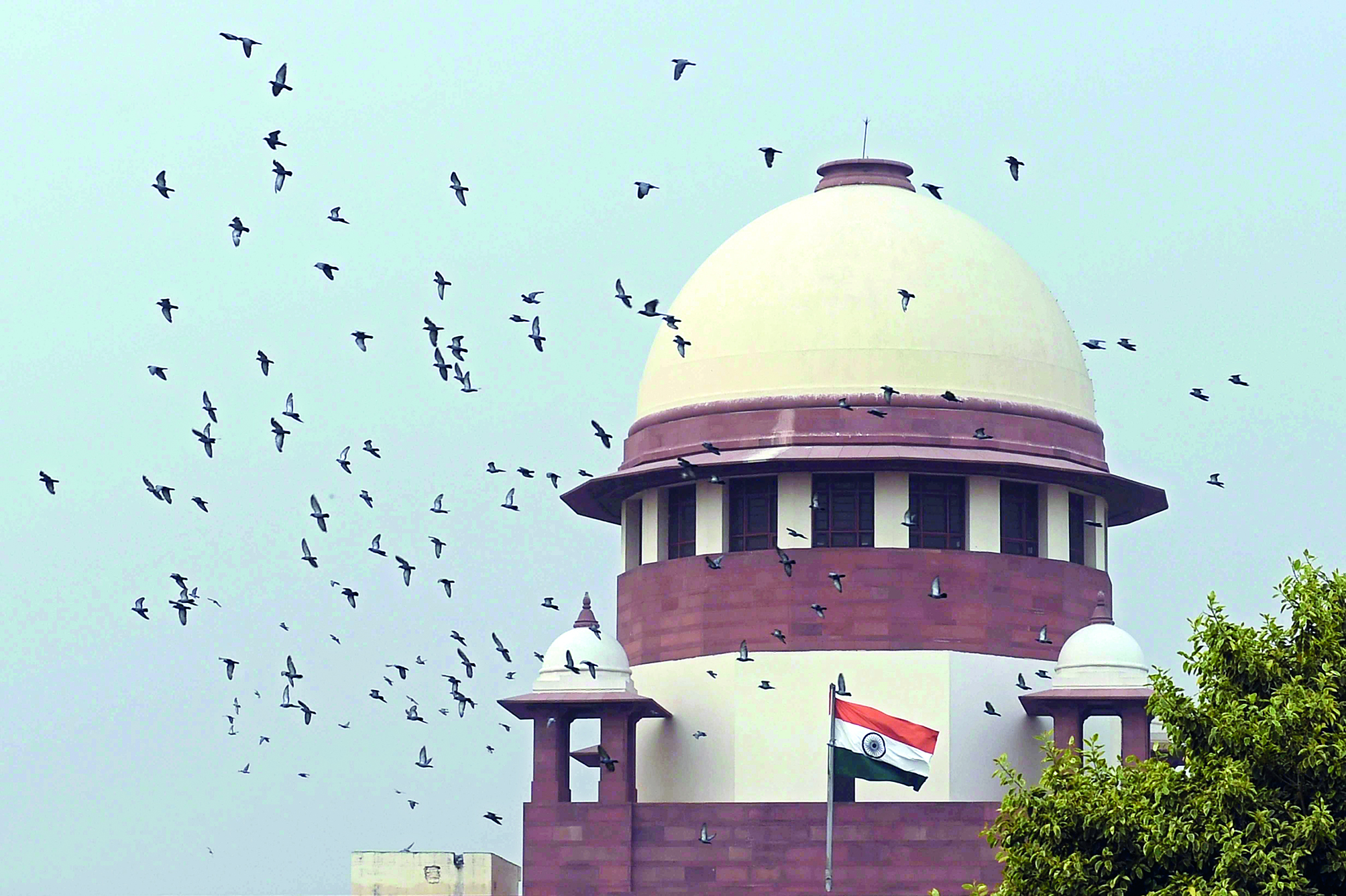 Judiciary has to be ‘flag bearer’ & march with nation, says SC