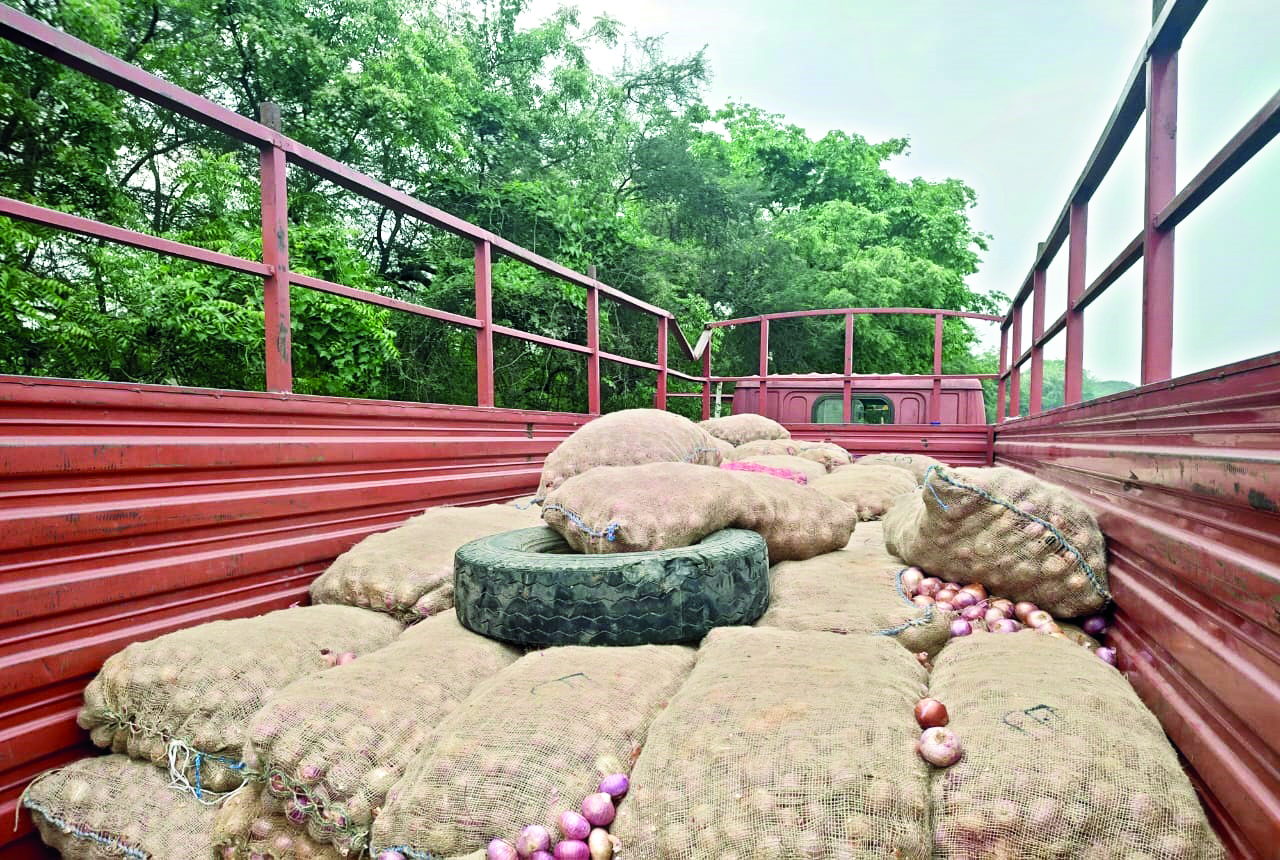 Cannabis worth about   Rs 1.5 cr seized, five nabbed