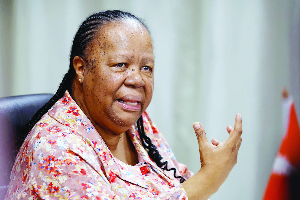 Palestinian crisis presents opportunity to reform UN, says South African foreign minister Pandor