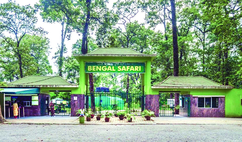 Royal Bengal Tigress Sheela gives birth to five cubs at Bengal Safari Park