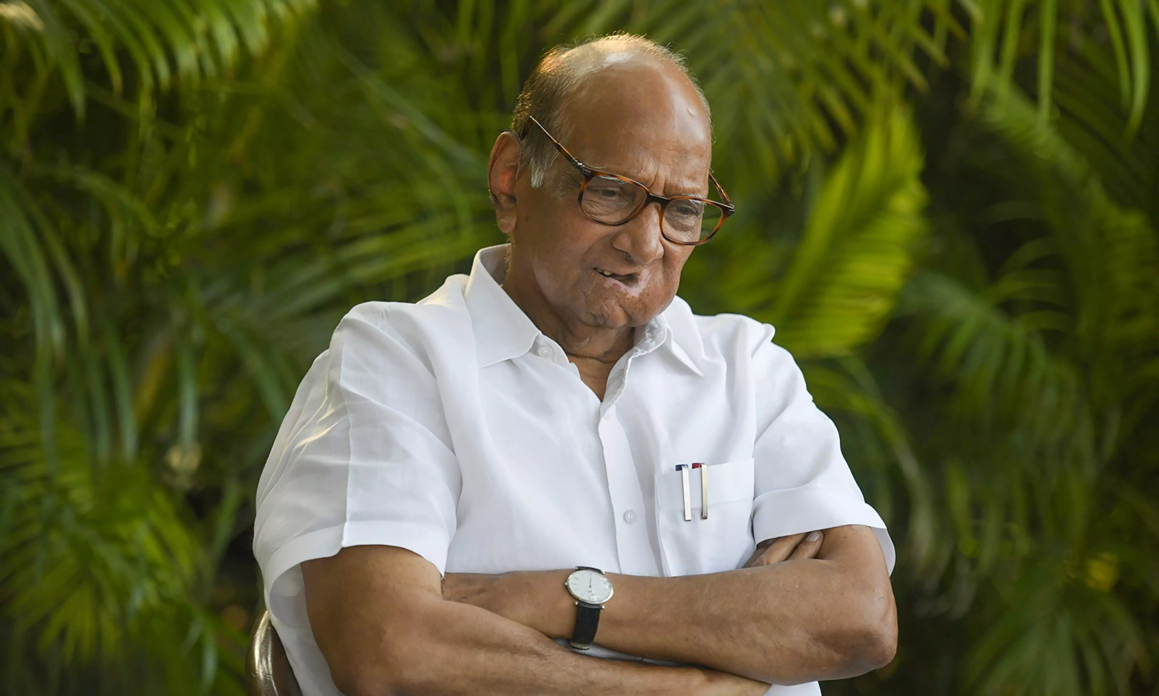 No difference between Modi and Putin, says Sharad Pawar
