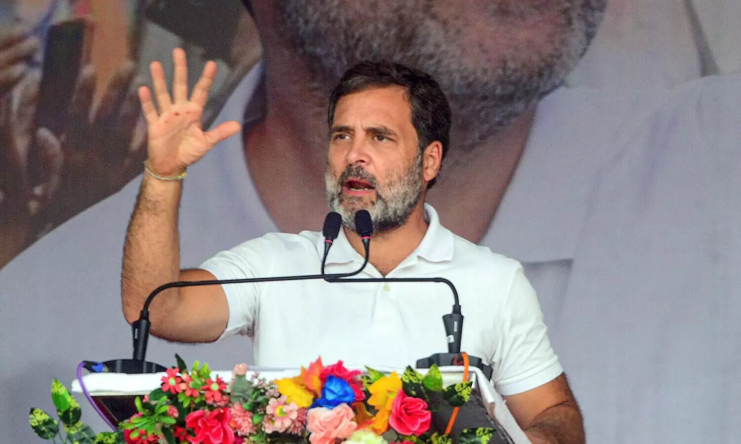 BJPs idea that India should have only one leader is insulting: RaGa