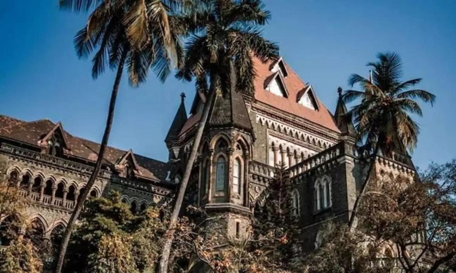 Bombay HC urges route changes for Ram Navami rallies near mosques