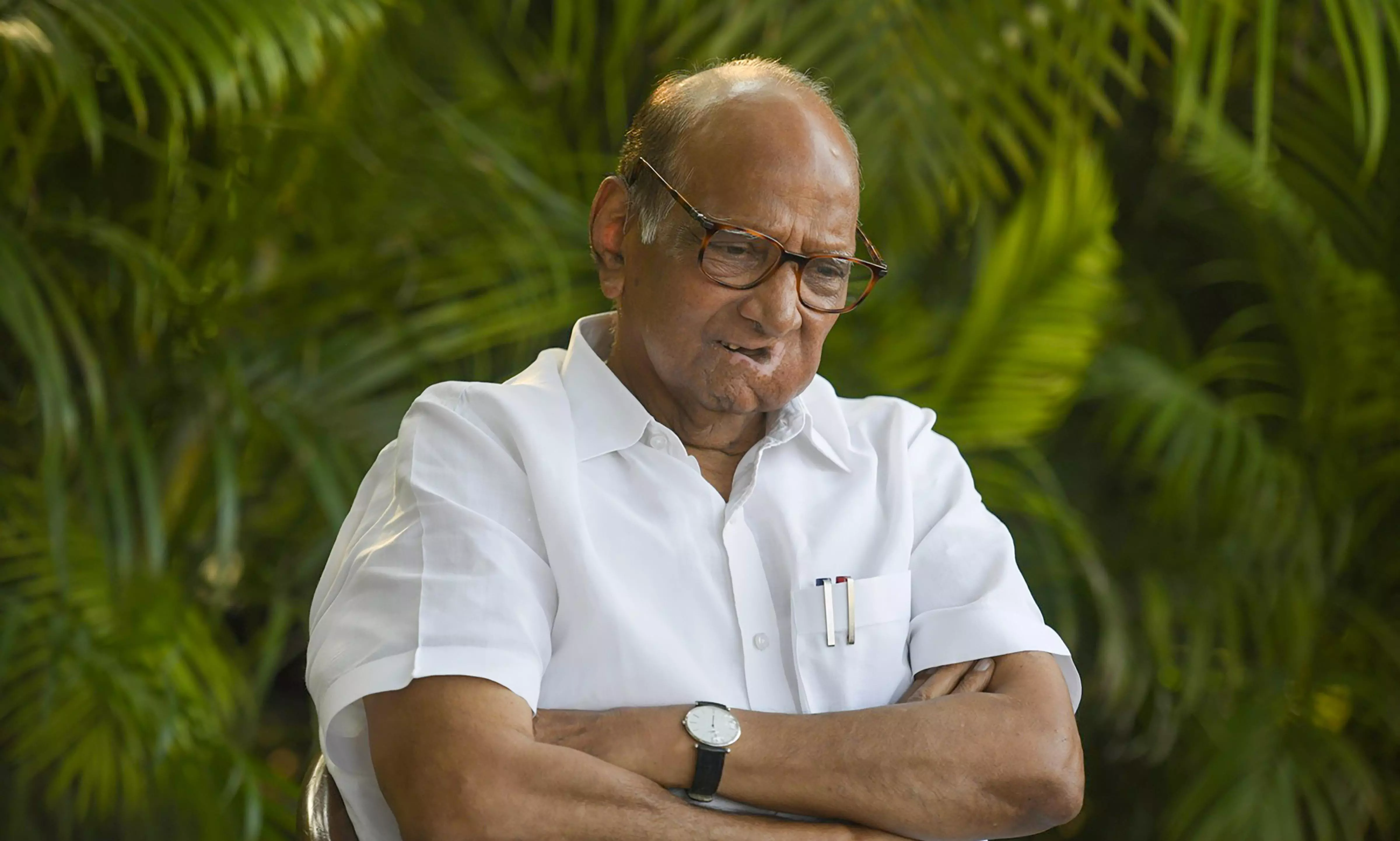 BJP import joins NCP, set to challenge BJP in Madha LS seat BJP import joins NCP, set to challenge BJP in Madha LS seat