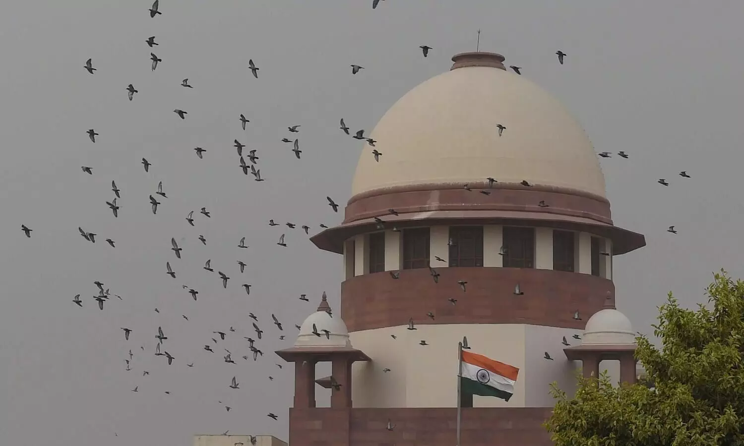 Foreign entities funding NGOs to stall public projects: I-T Dept to SC Foreign entities funding NGOs to stall public projects: I-T Dept to SC