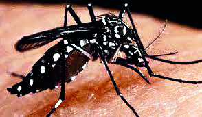 Entomologist calls for policy allowing govts to acquire vacant lands