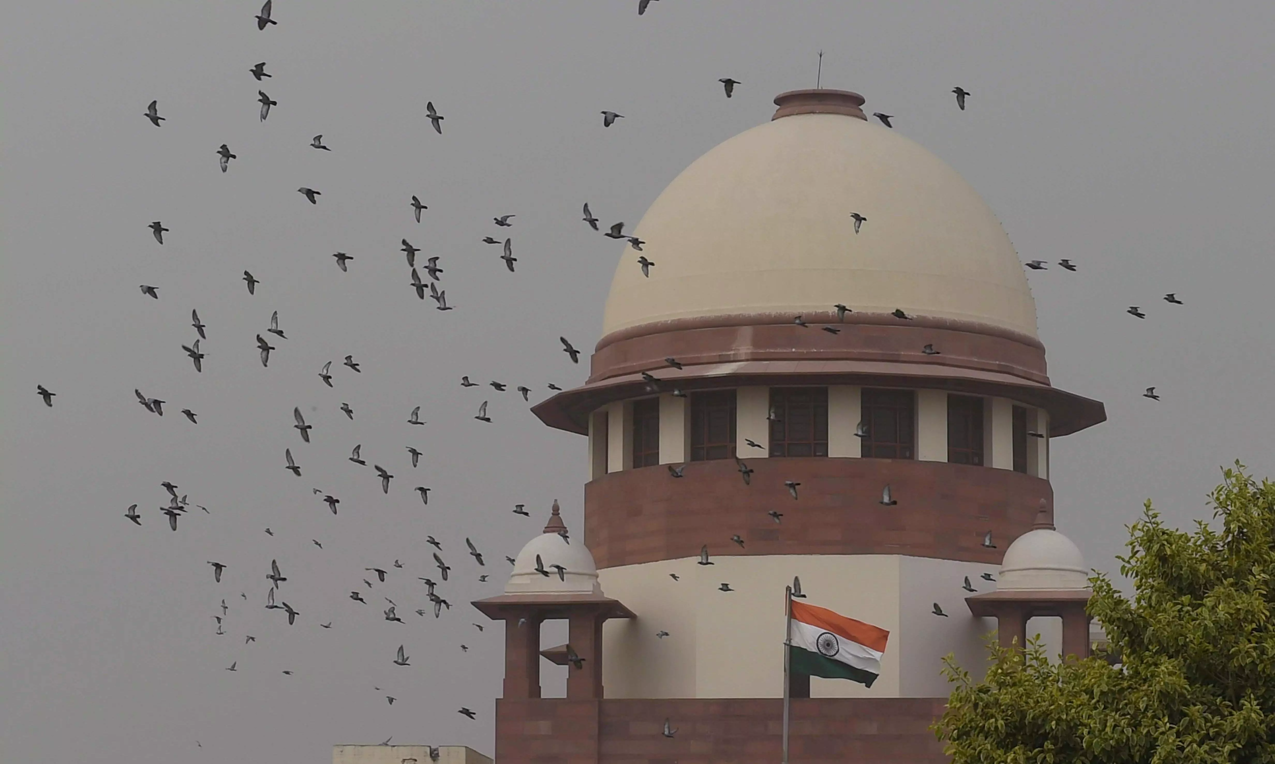 Foreign entities funding NGOs to stall public projects: I-T Dept to SC