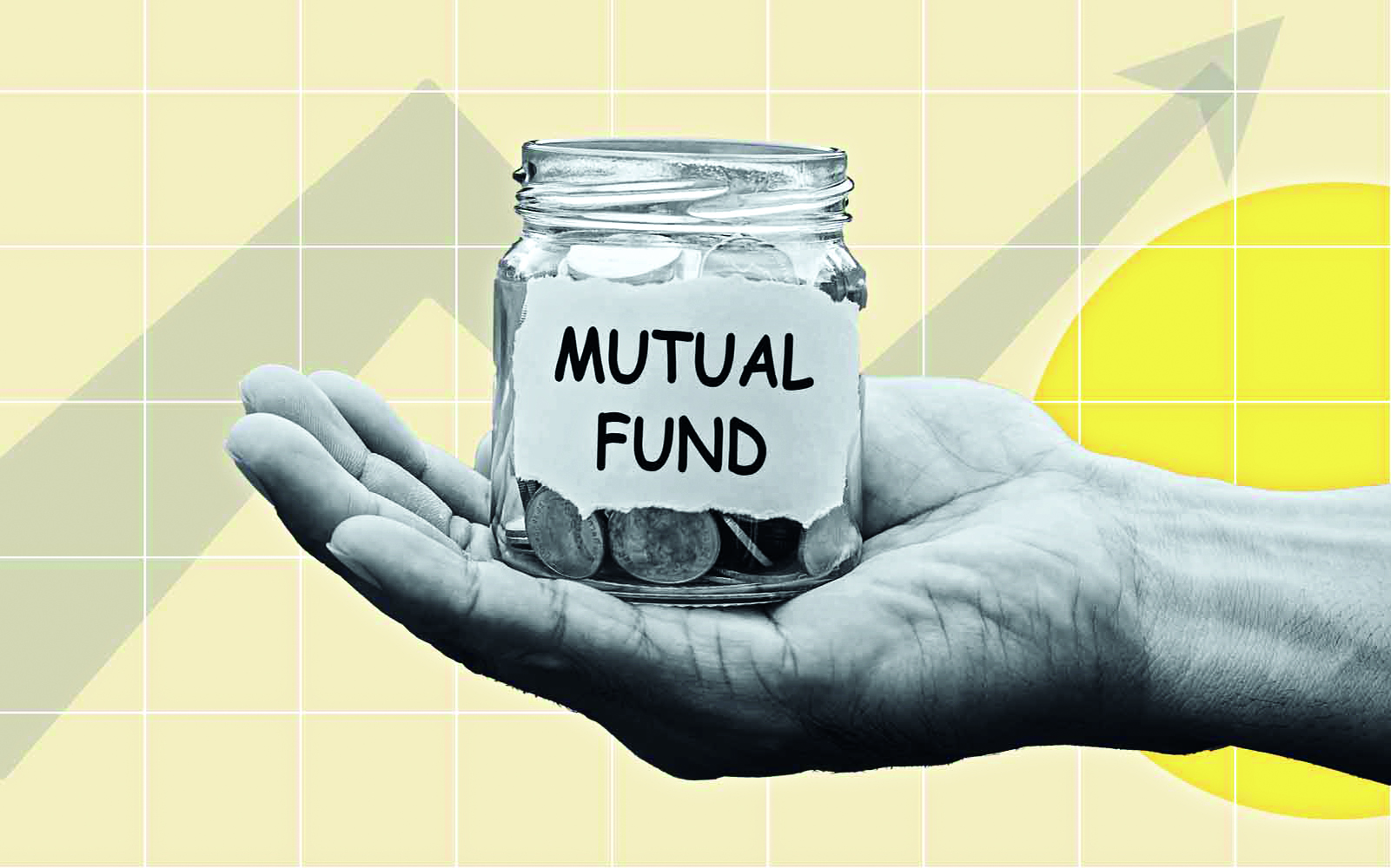 Small-cap mutual funds’ assets soar 83% to   Rs 2.43 lakh cr in FY24 on retail investor boom