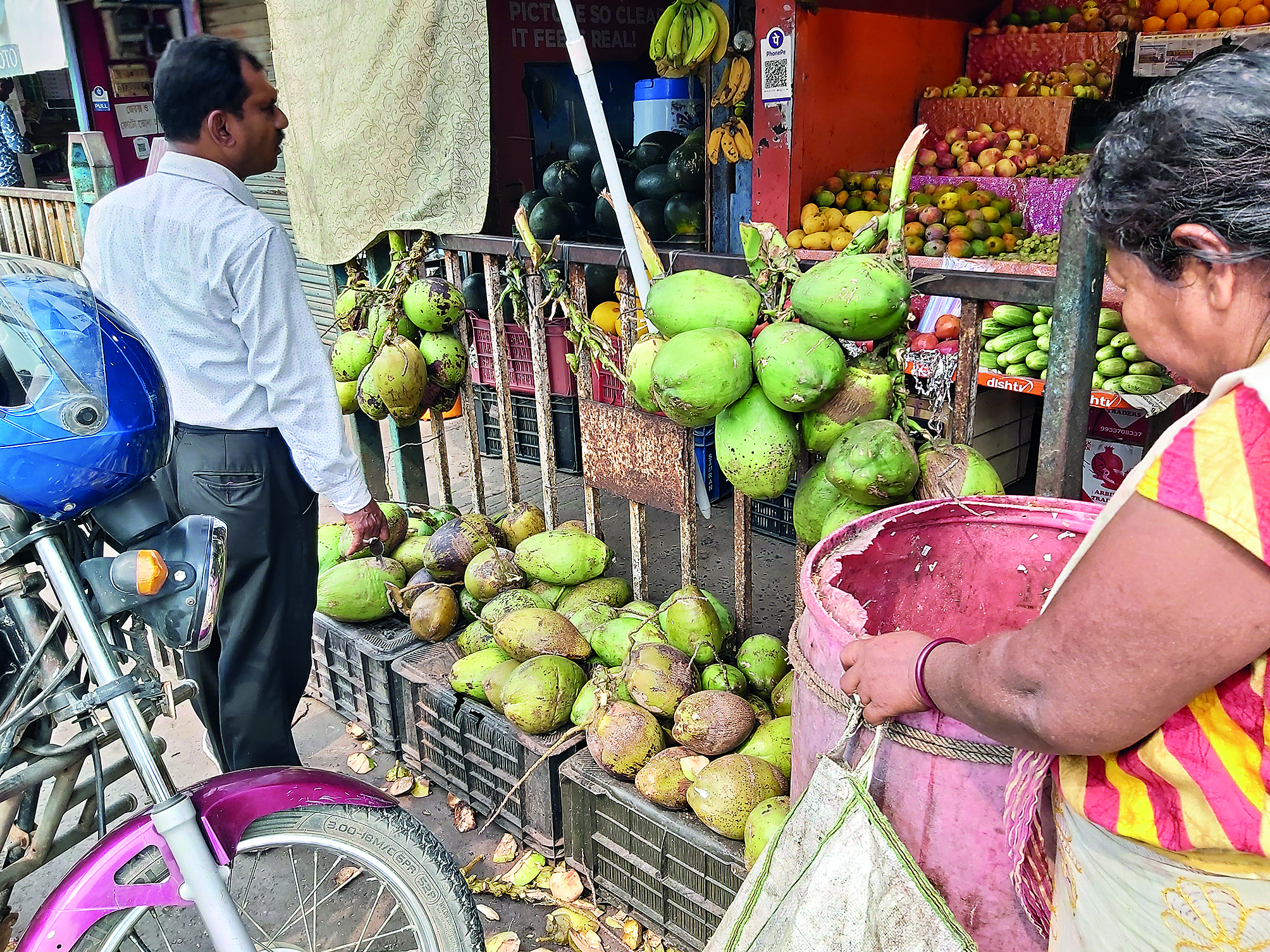 Balurghat: Price of green coconut skyrockets amid sweltering heat Balurghat: Price of green coconut skyrockets amid sweltering heat