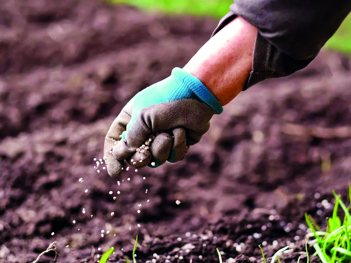 Govt notifies specifications of IFFCO’s Nano Urea Plus