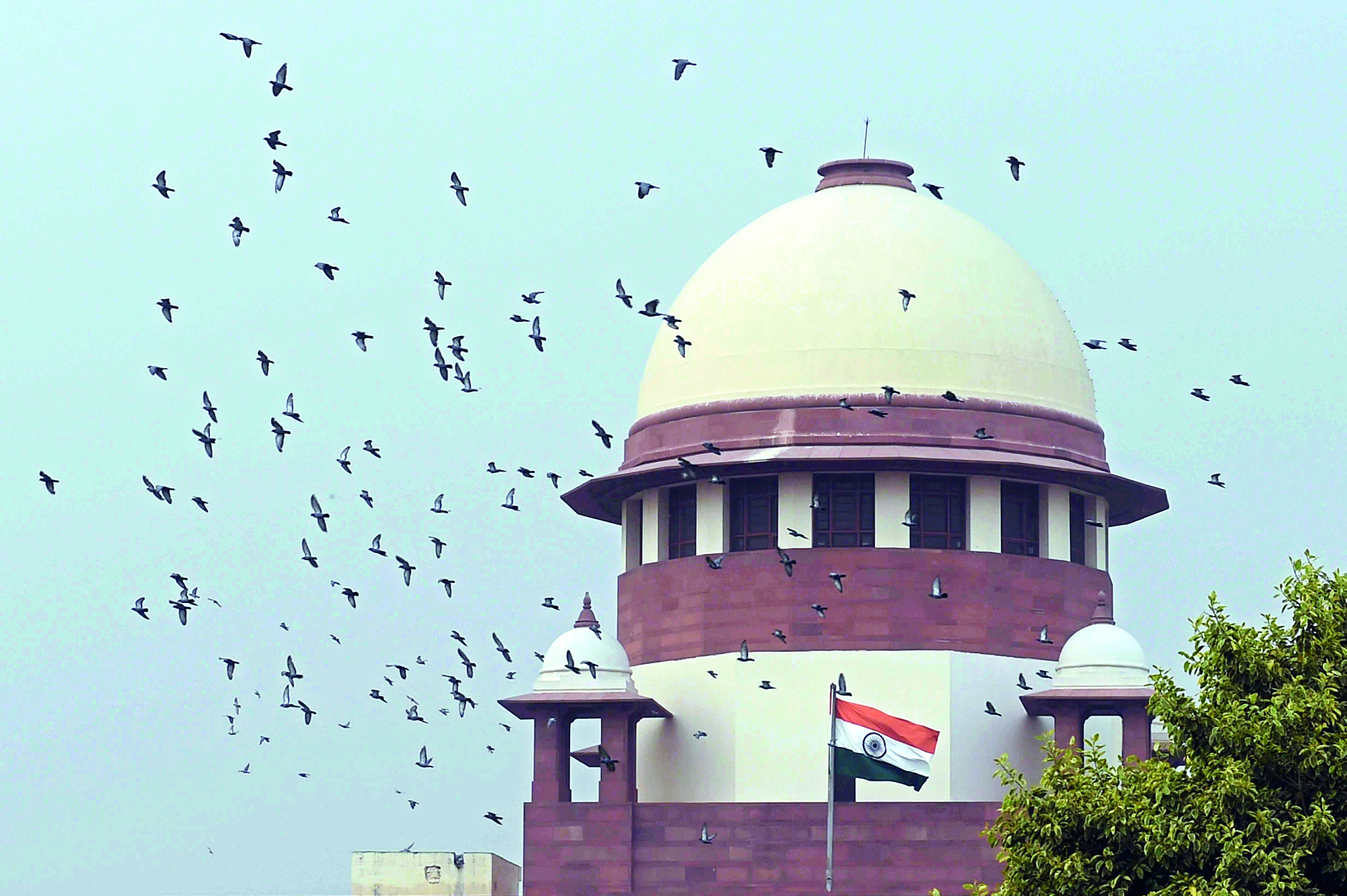 Humans have selective amnesia on significance of forests: SC Humans have selective amnesia on significance of forests: SC