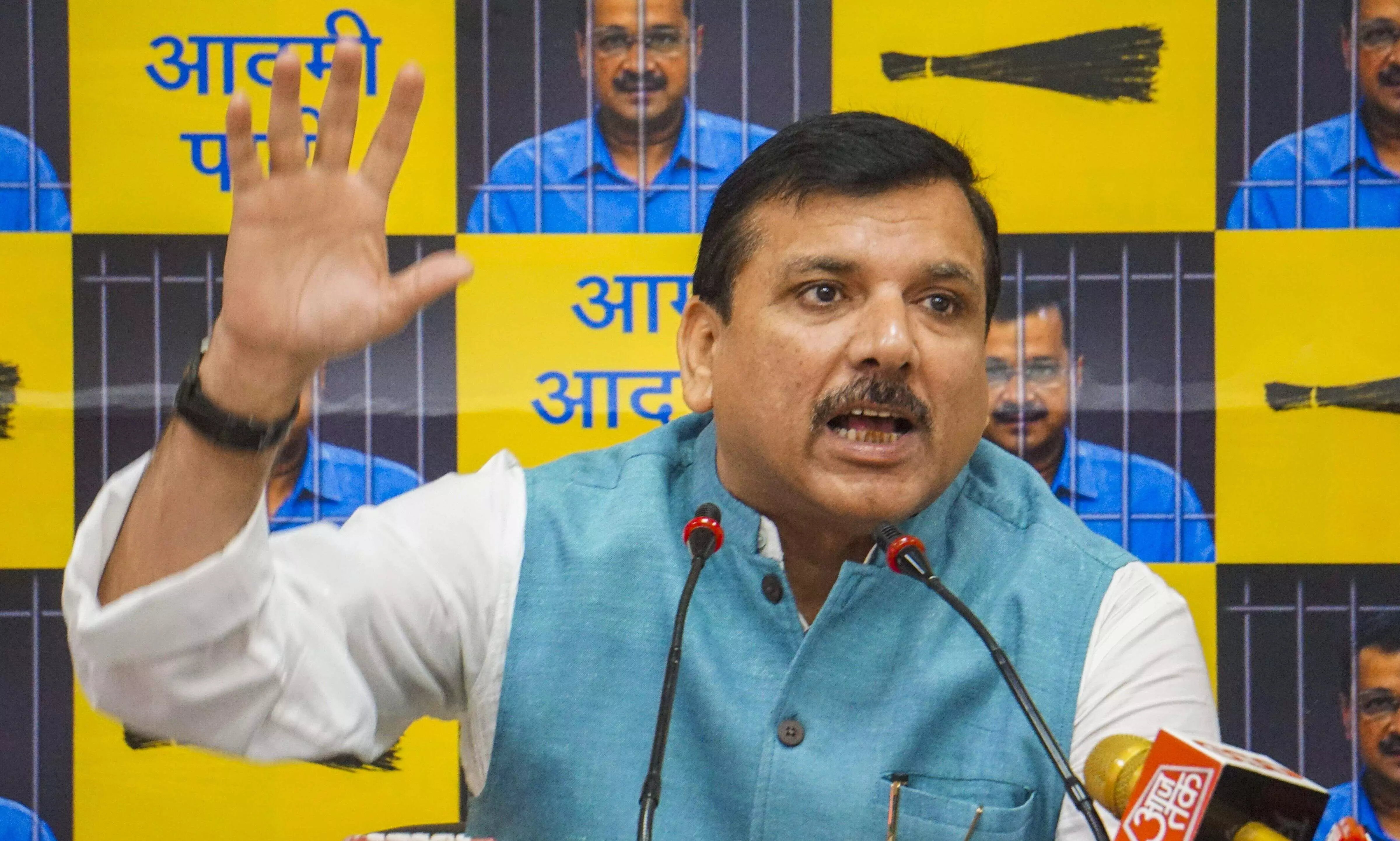 Conspiracy being hatched, anything can happen to Kejriwal in jail: Sanjay Singh