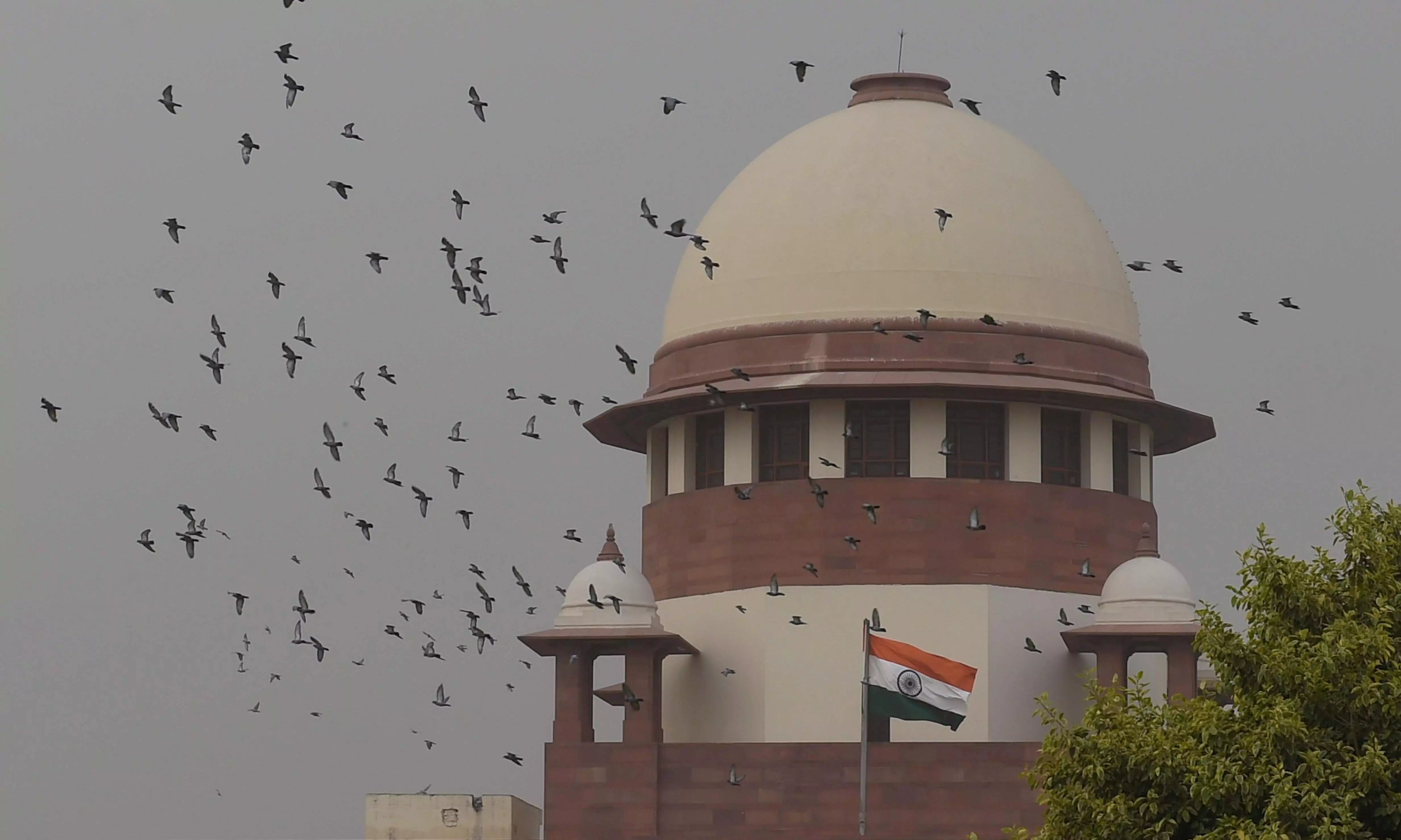 SC agrees to hear plea seeking quashing of prohibitory orders issued solely on ground of elections