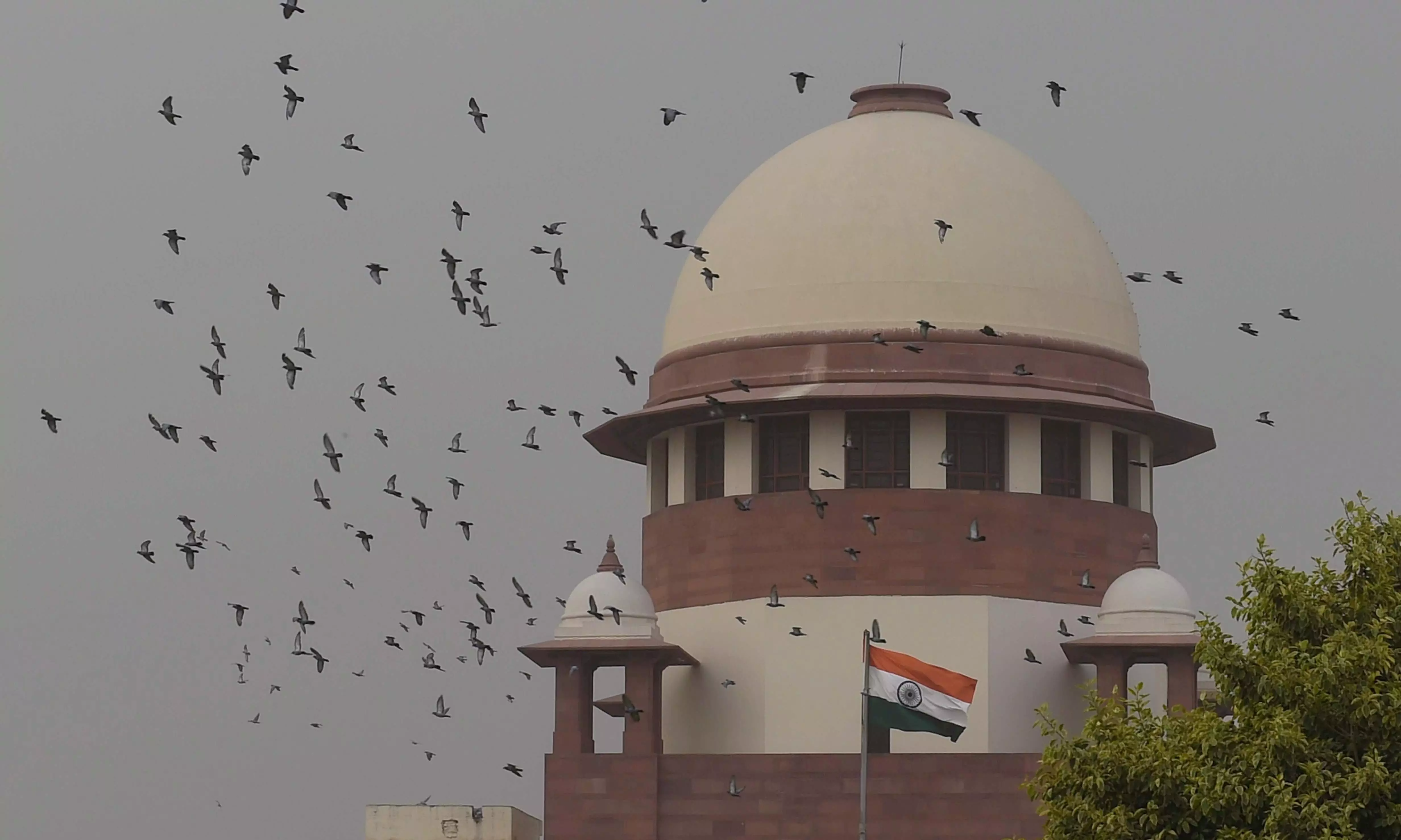 There will be chaos if we start entertaining pleas against rejection of nomination papers: SC