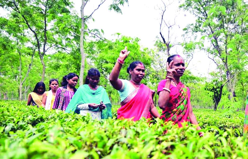 Alipurduar: Vote percentage stands at 75.54% till 5 pm