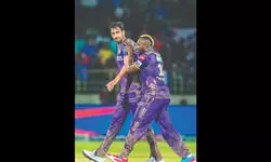 ‘Starc is a superstar, don’t think of him from investment standpoint’