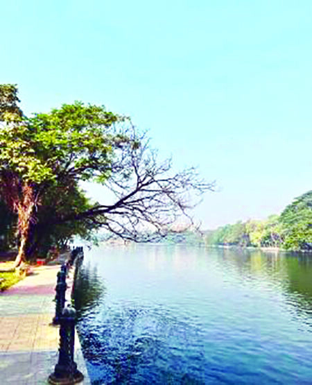 Heatwave causes dip in water level at Rabindra Sarobar Lake