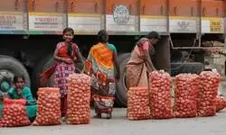 A strategic lure A strategic lure