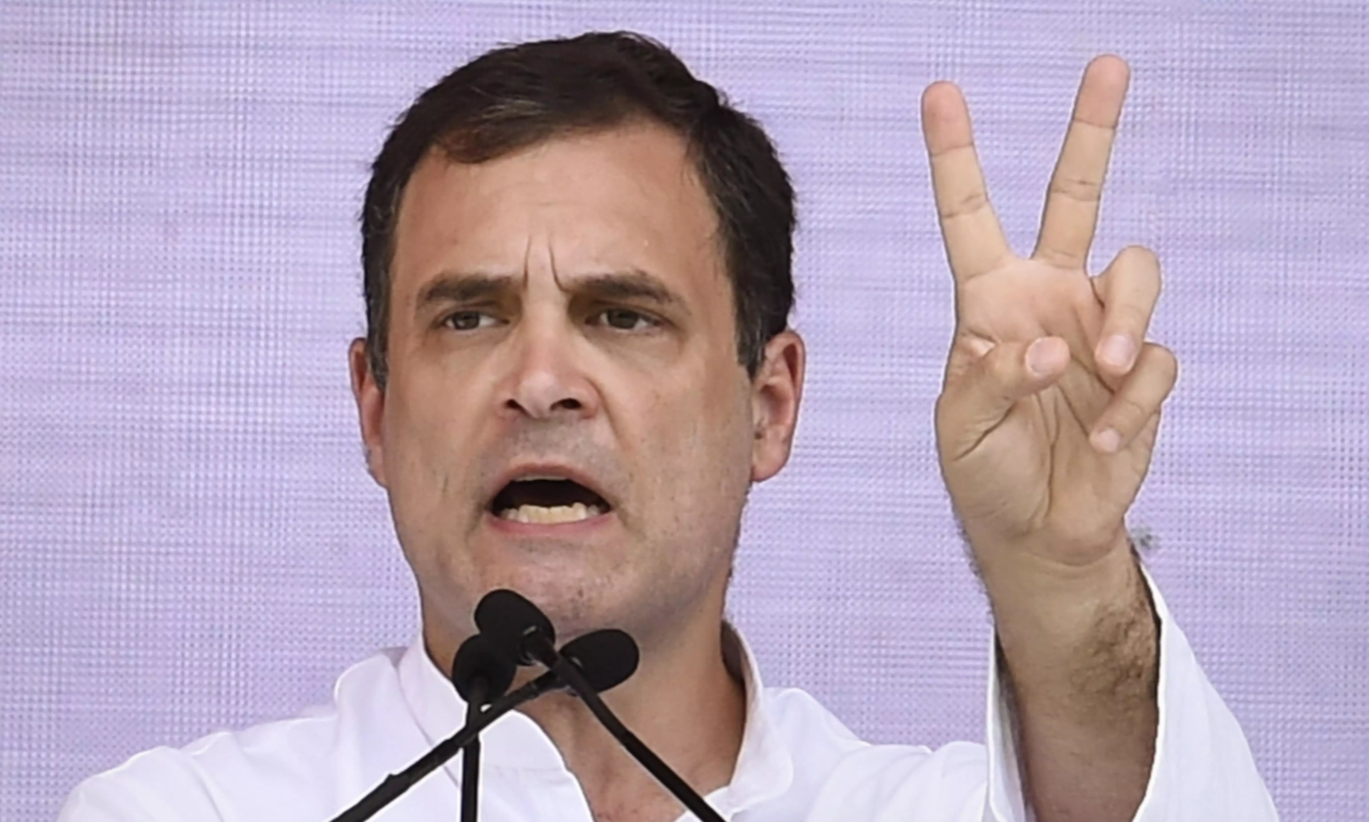 If voted to power, Cong will conduct caste and economic survey: Rahul