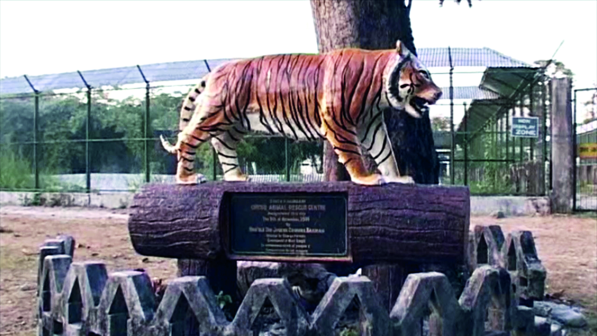South Khairbari Tiger Rehabilitation Centre set to transform into mini zoo
