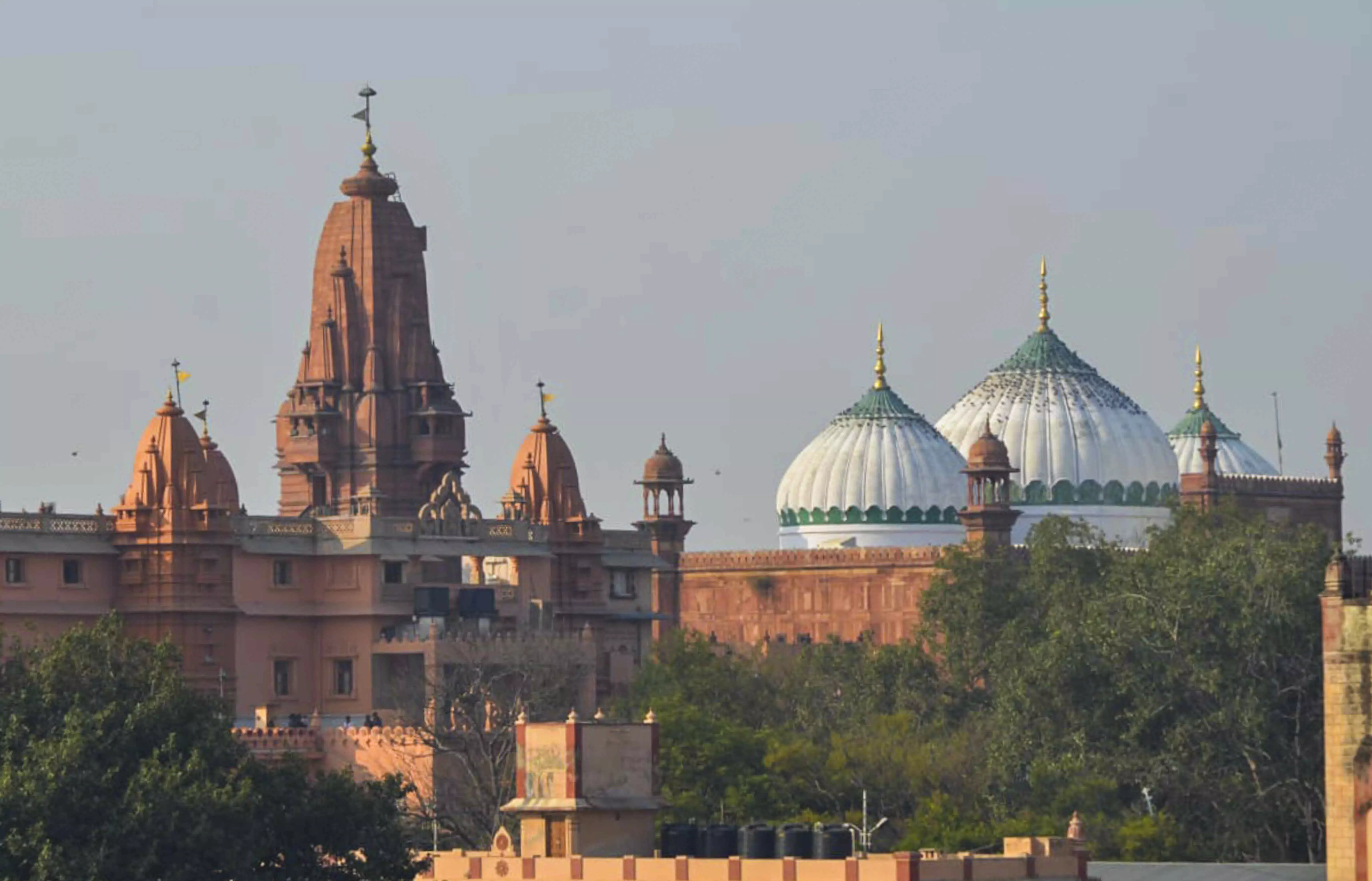 Shahi Idgah row: Krishna Janmabhoomi temple is protected monument, Hindu side tells Allahabad HC Shahi Idgah row: Krishna Janmabhoomi temple is protected monument, Hindu side tells Allahabad HC