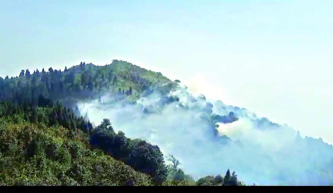 Dry spell: Major forest fire breaks   out in Darjeeling