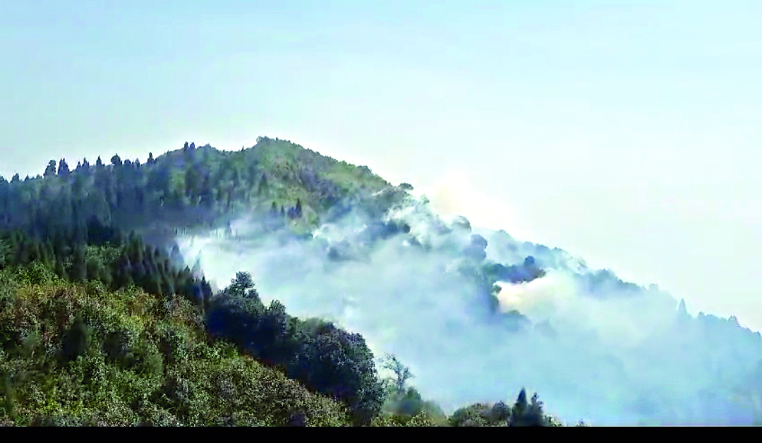 Dry spell: Major forest fire breaks out in Darjeeling Dry spell: Major forest fire breaks out in Darjeeling