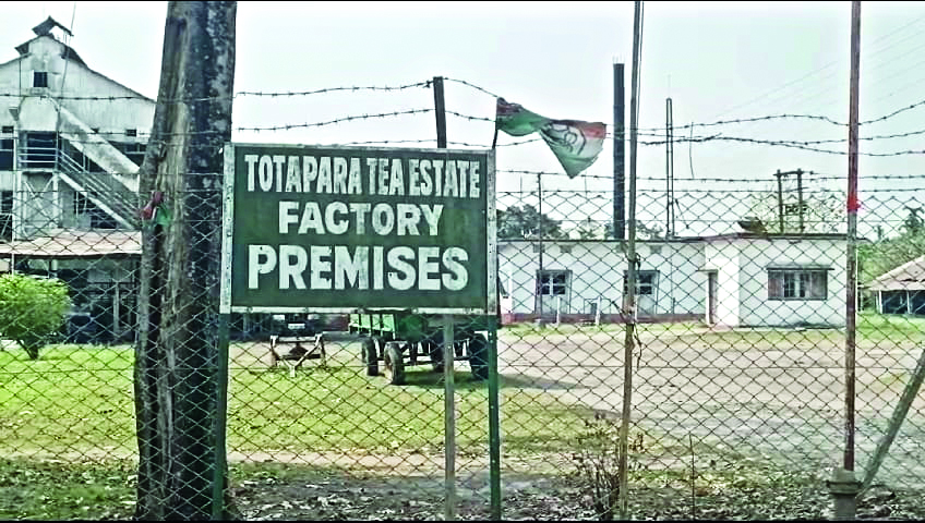 About 850 workers left without jobs as   Totapara Tea Garden suspends operations