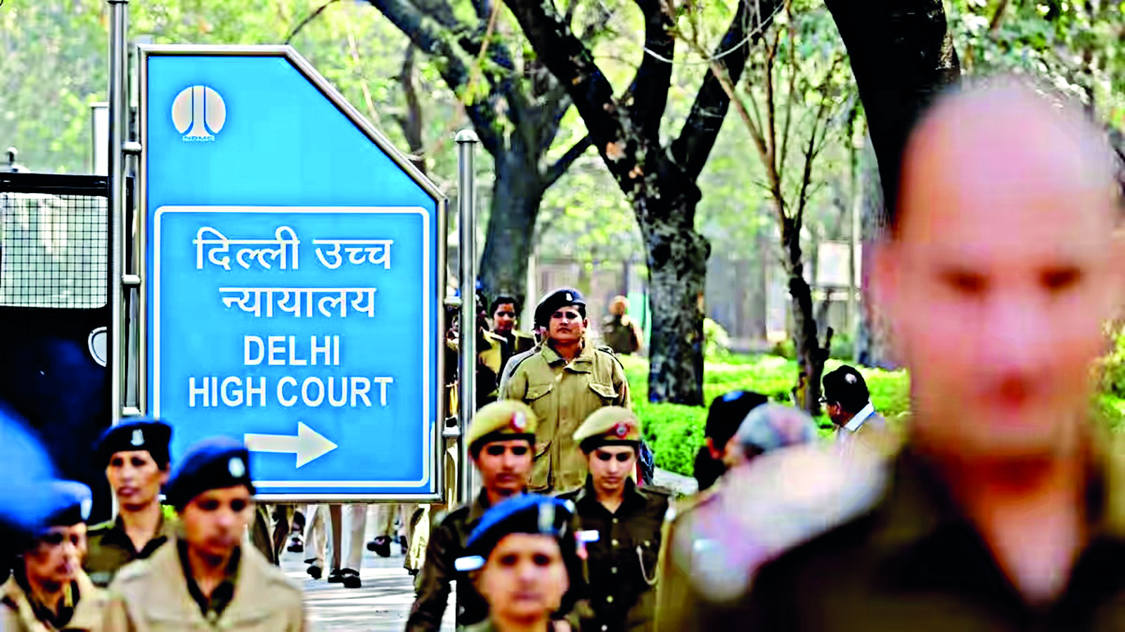 Delhi HC seeks info from forest officer on tree felling sanctions Delhi HC seeks info from forest officer on tree felling sanctions