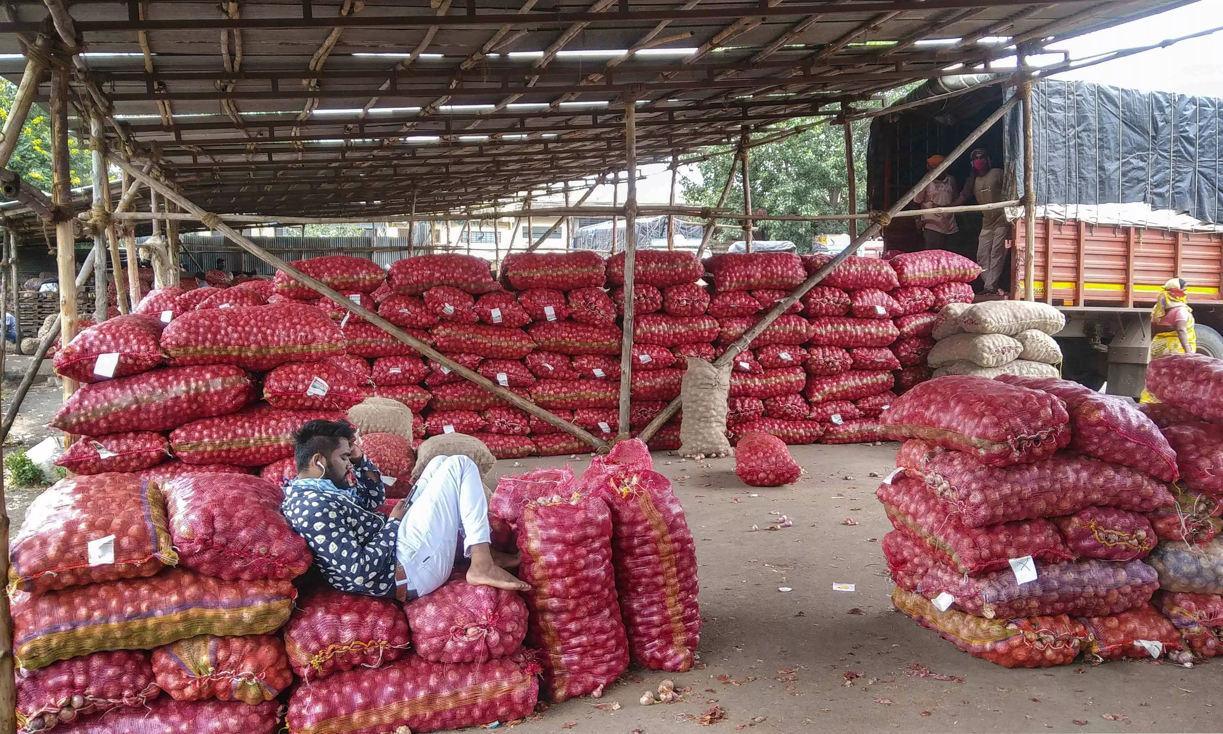 Govt lifts onion export ban; imposes minimum export price Govt lifts onion export ban; imposes minimum export price