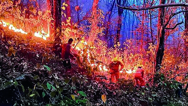 Forest fires: SC urges preventive action, warns against cloud seeding