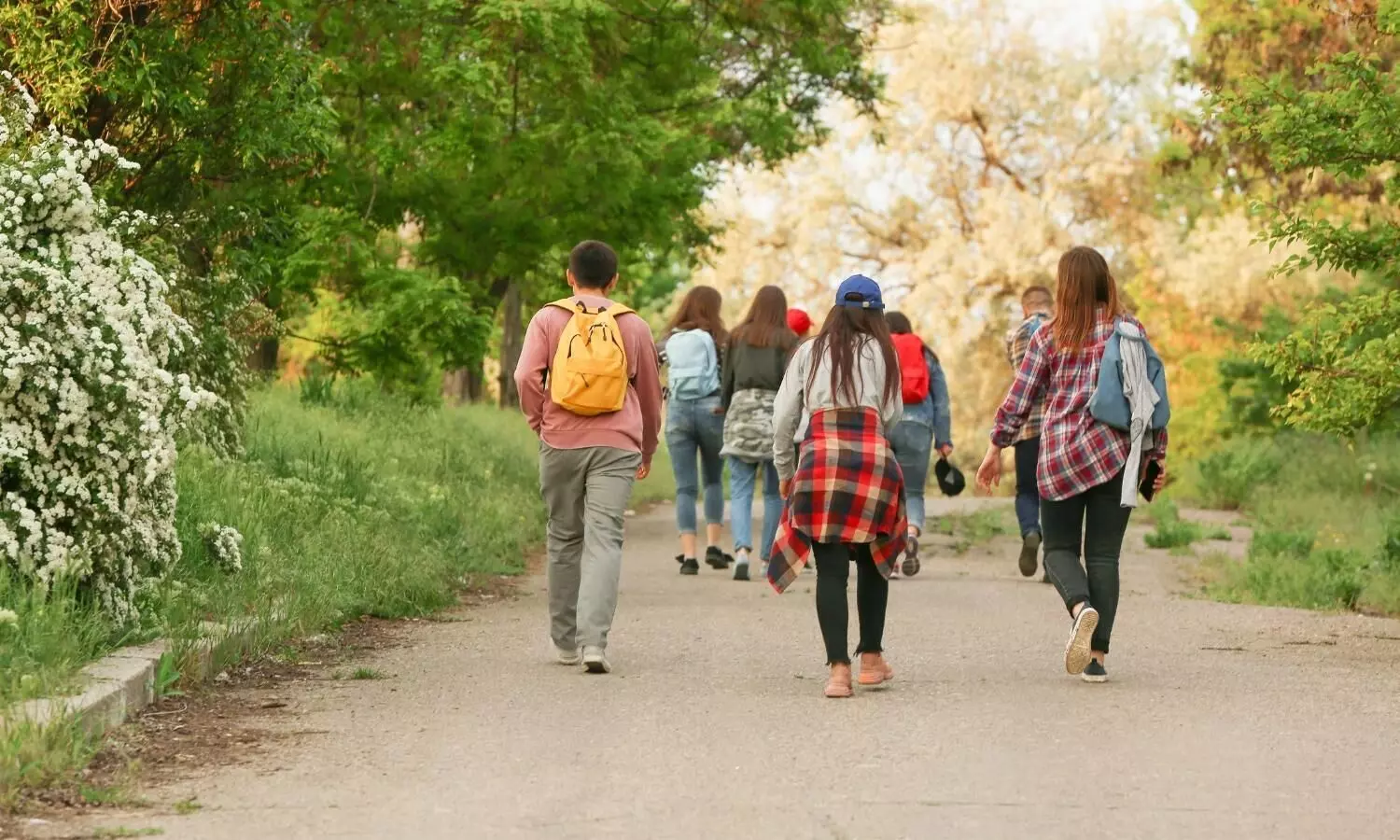 5,457 illegal immigrants detected in Manipurs Kamjong district