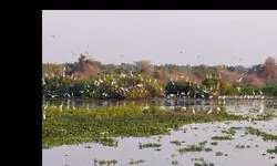 An economic imperative