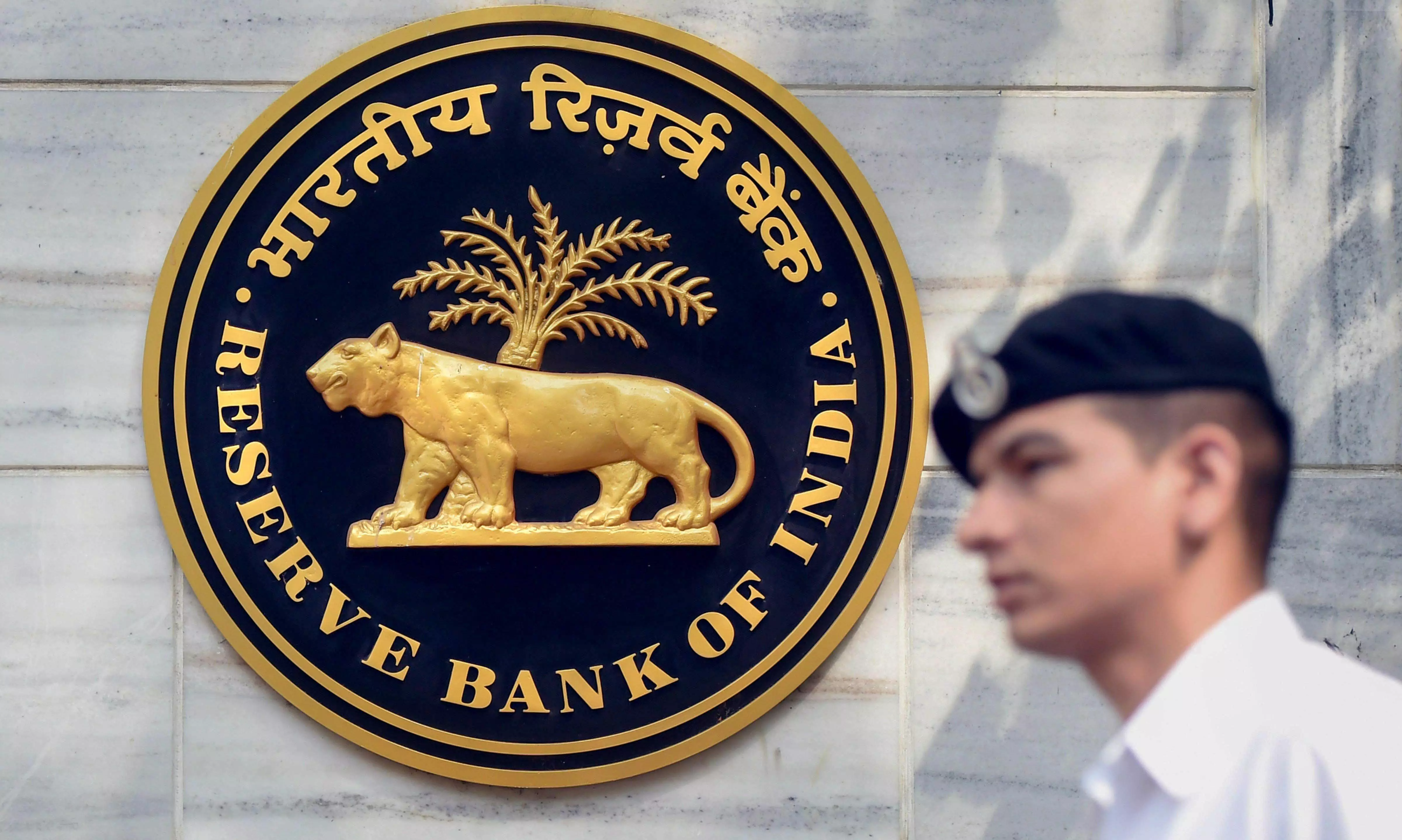 RBI likely to transfer Rs 1 trillion to government in FY25