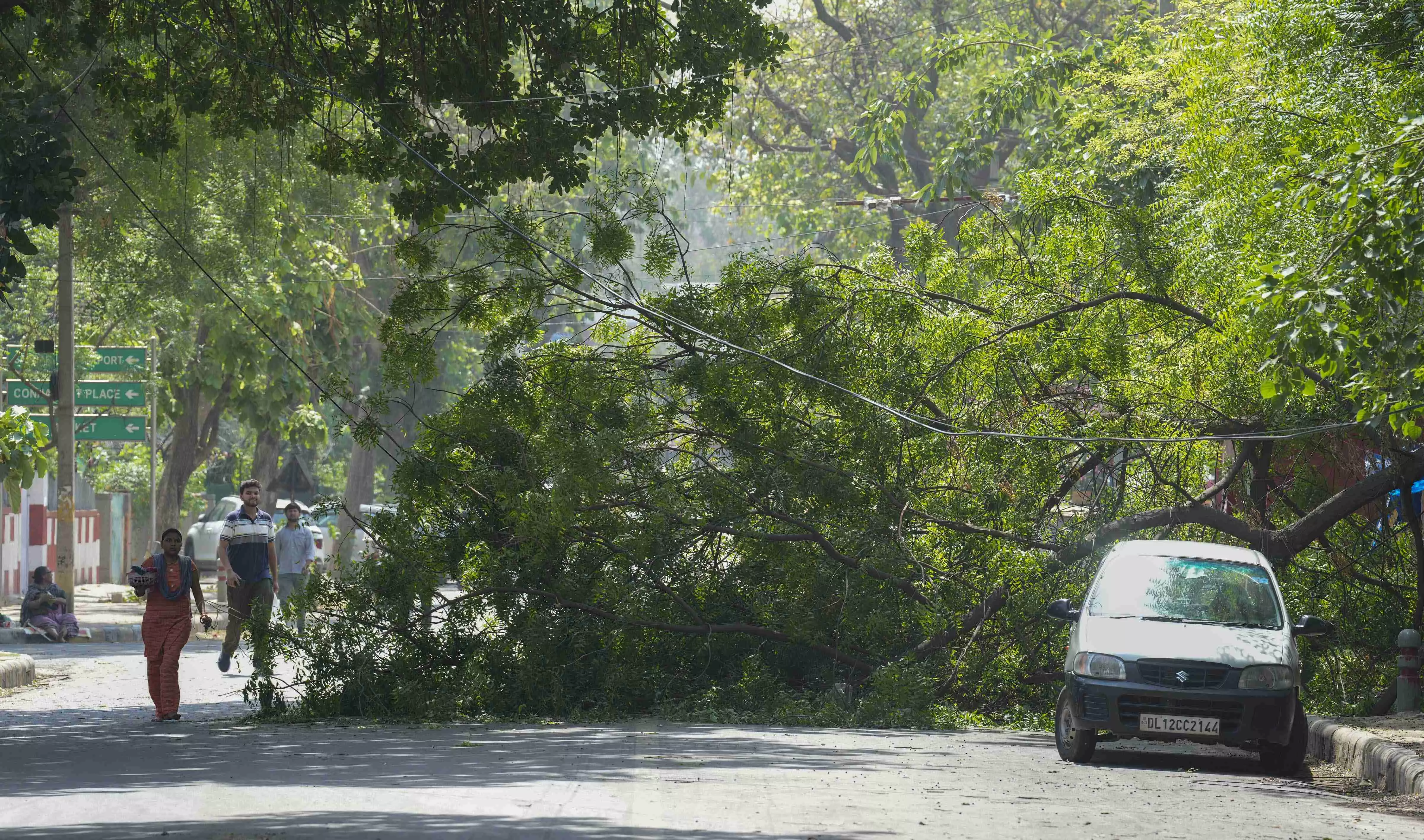 Three dead, 23 injured in storm-related incidents in Delhi Three dead, 23 injured in storm-related incidents in Delhi