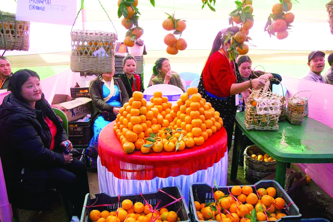 State embarks on proj to save orange orchards from pests State embarks on proj to save orange orchards from pests